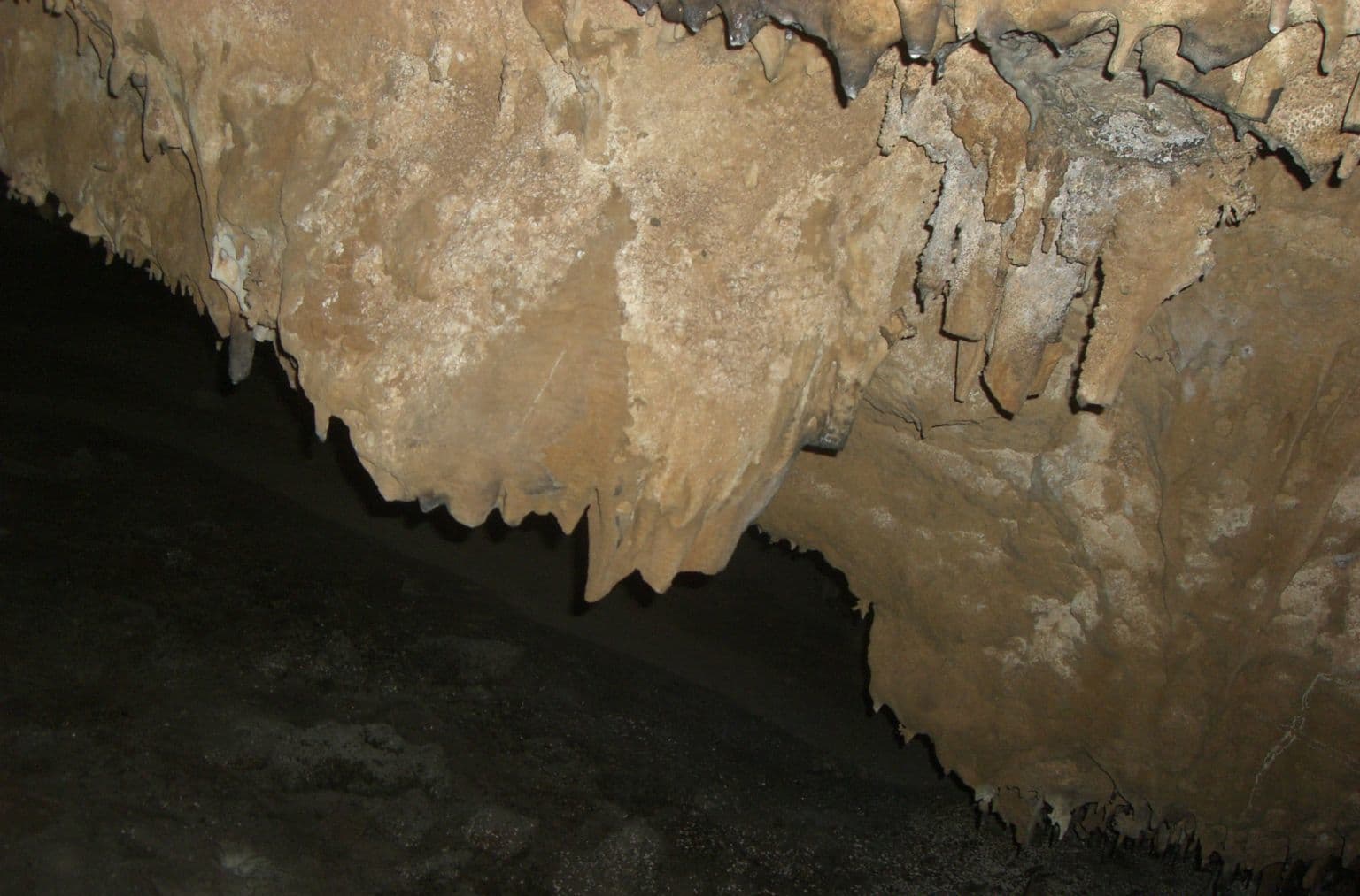 Caverne Patate, Rodrigues Island
